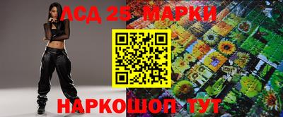 Альфа ПВП Кандалакша