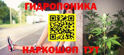 гидропоника Канаш
