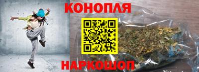 jwh Камышлов