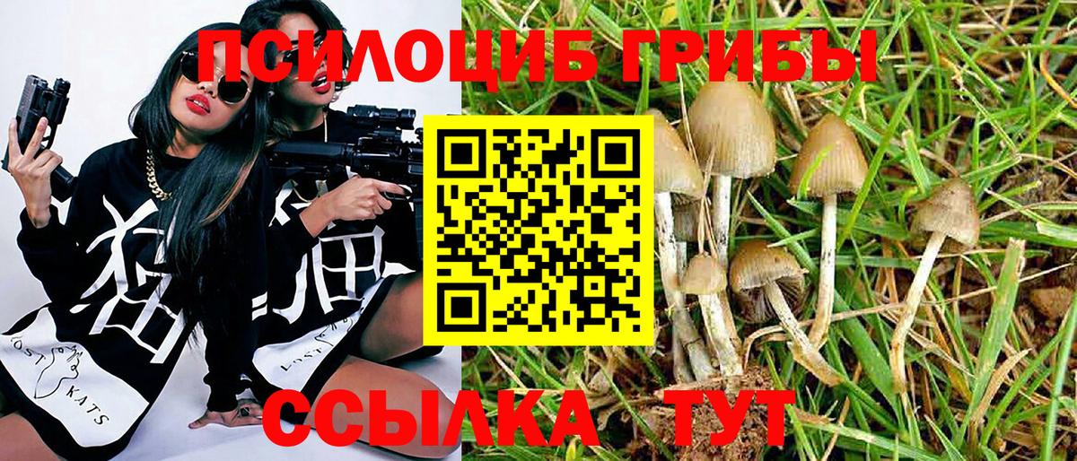 купить  цена  Вход с VPN  Галлюциногенные грибы MAGIC MUSHROOMS  Краснодар  Псилоцибиновые грибы Psilocybine cubensis 