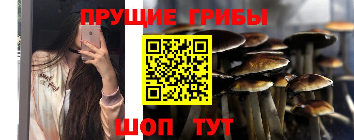 Галлюциногенные грибы Magic Shrooms Краснодар